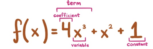 Polynomial Example