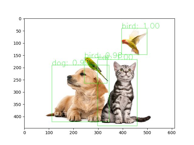 Object detection output